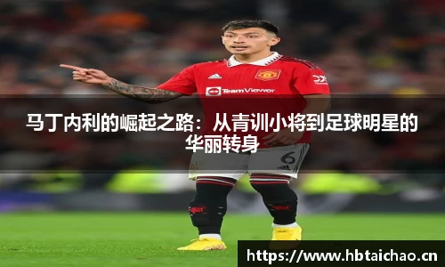 马丁内利的崛起之路：从青训小将到足球明星的华丽转身