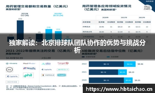 独家解读：北京排球队团队协作的优势与挑战分析